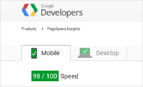 Page Speed Insights1