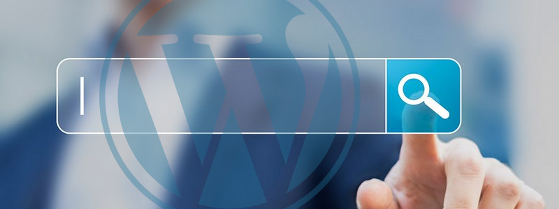 Improve the WordPress Search Function on Your Site