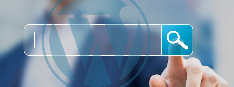 Improve the WordPress Search