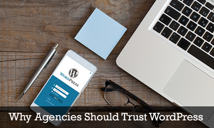 Why Agencies Should Trust WordPress