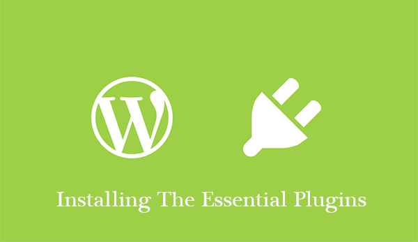 Installing The Essential Plugins