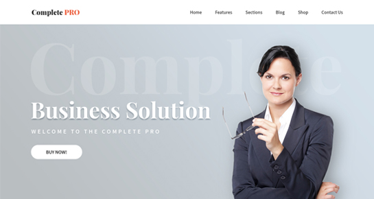 complete wordpress theme