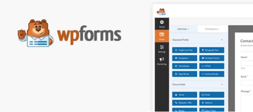 wp form WordPress Plugin