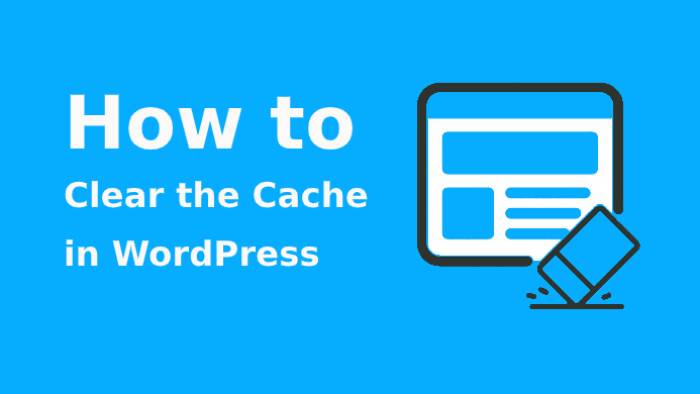 clear the cache in WordPress 