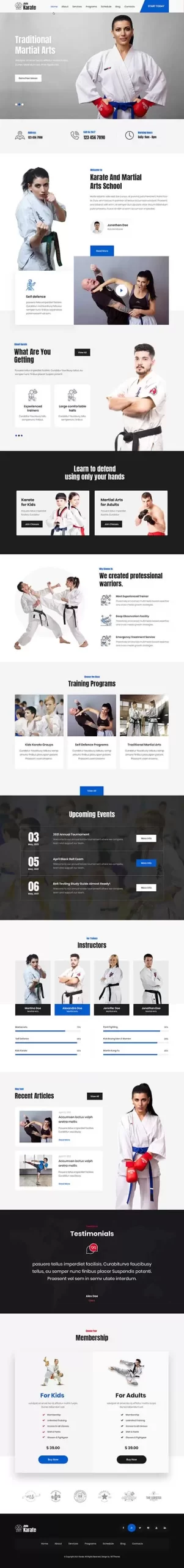 Karate WordPress theme