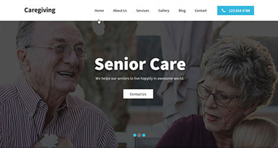 Elderly Care