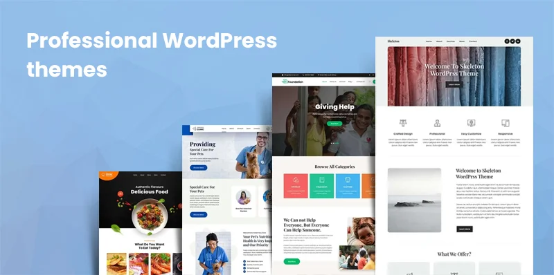 Professional WordPress themes