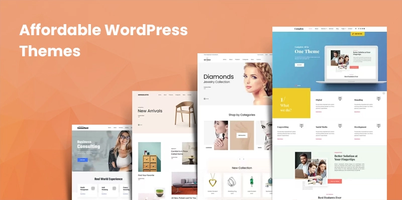 Affordable WordPress Themes