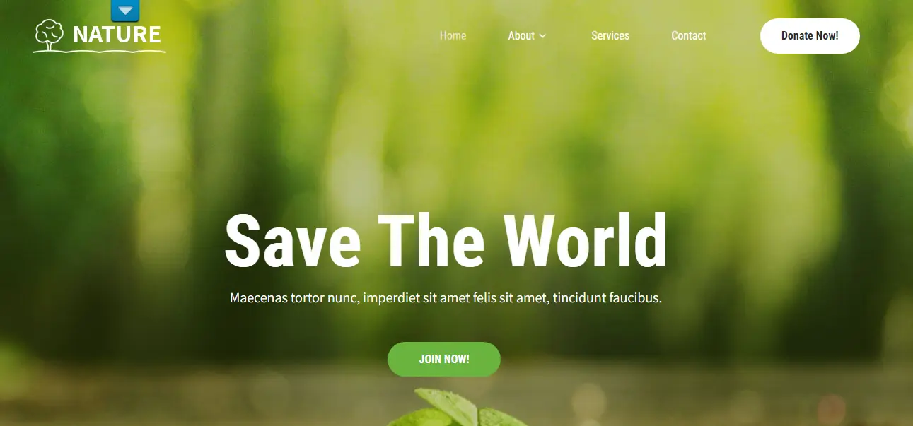 GB Nature WordPress Theme