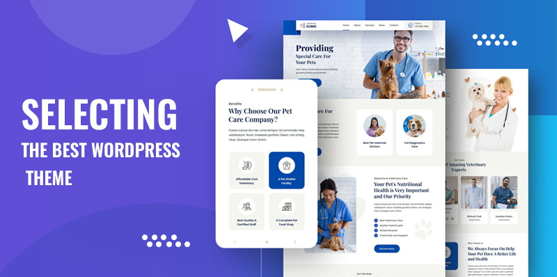 Selecting the Best-WordPress Theme