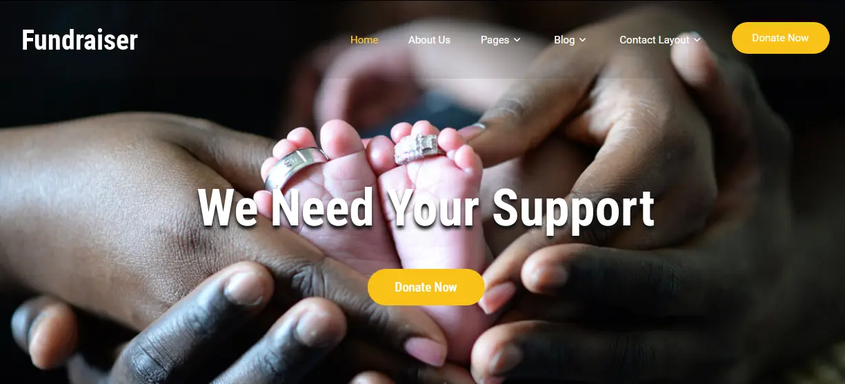 Fundraiser Charity WordPress Theme