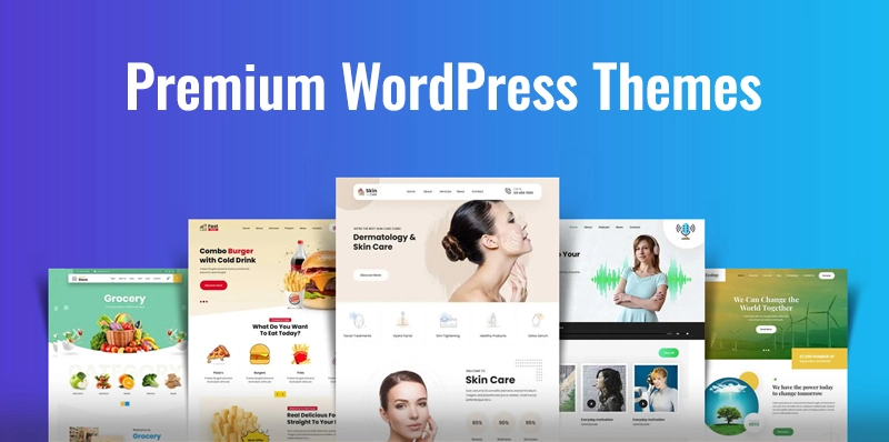 Importance of Premium WordPress Themes