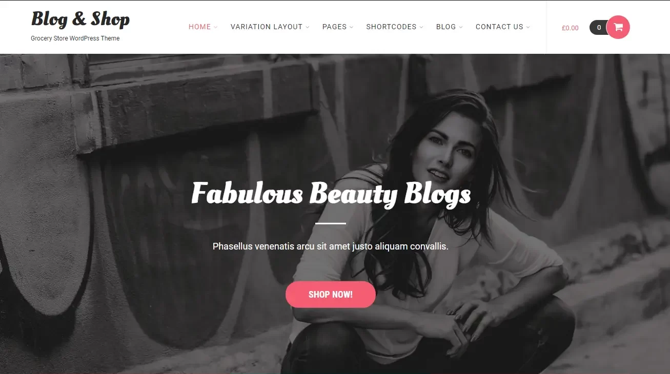 Blog and Shop - Customizable WordPress Theme