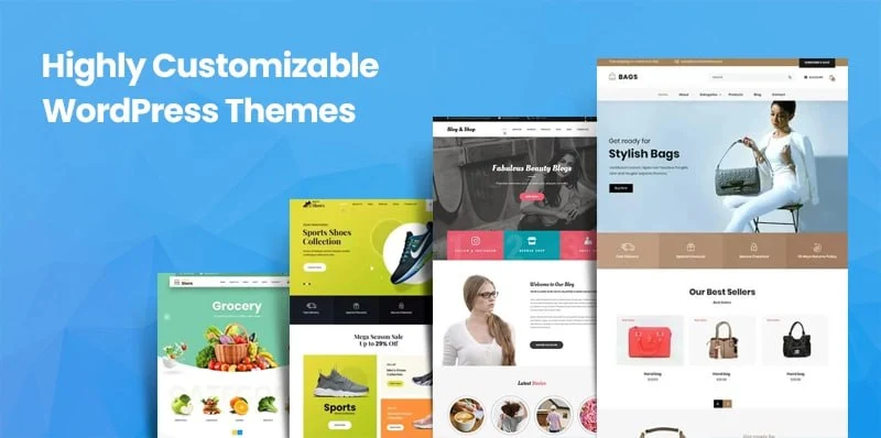 Buy Customizable WordPress Themes