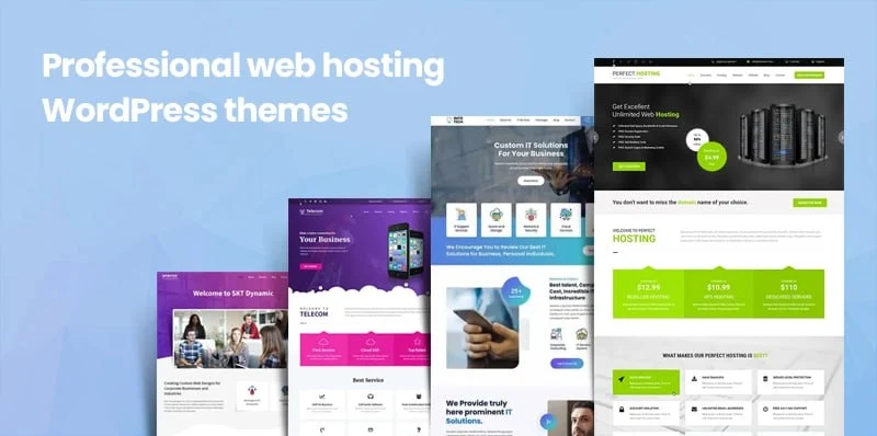 Professional web hosting WordPress themes